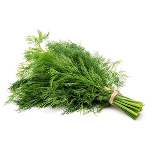 Hạt giống thì là ~ thì là 200h