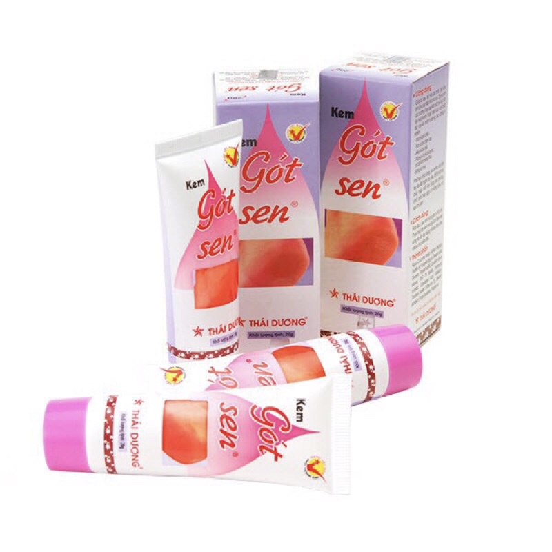 KEM GÓT SEN THÁI DƯƠNG