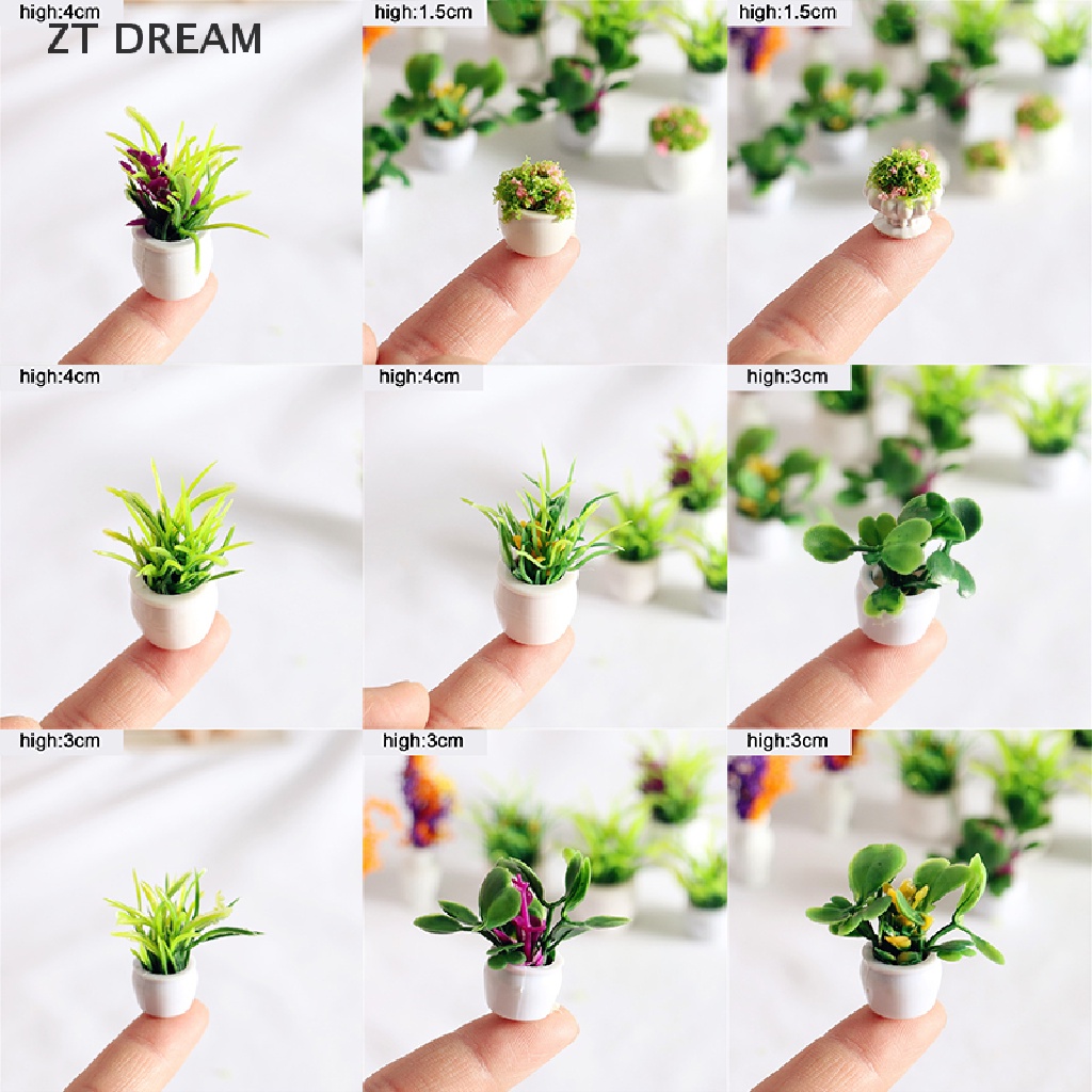 Chậu Cây Mini 12 Kiểu 1: 12 Thân Thiện Với Môi Trường Trang Trí Nhà Búp Bê 07