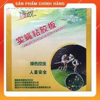 TẬP 10 MIẾNG DÍNH RUỒI VÀNG