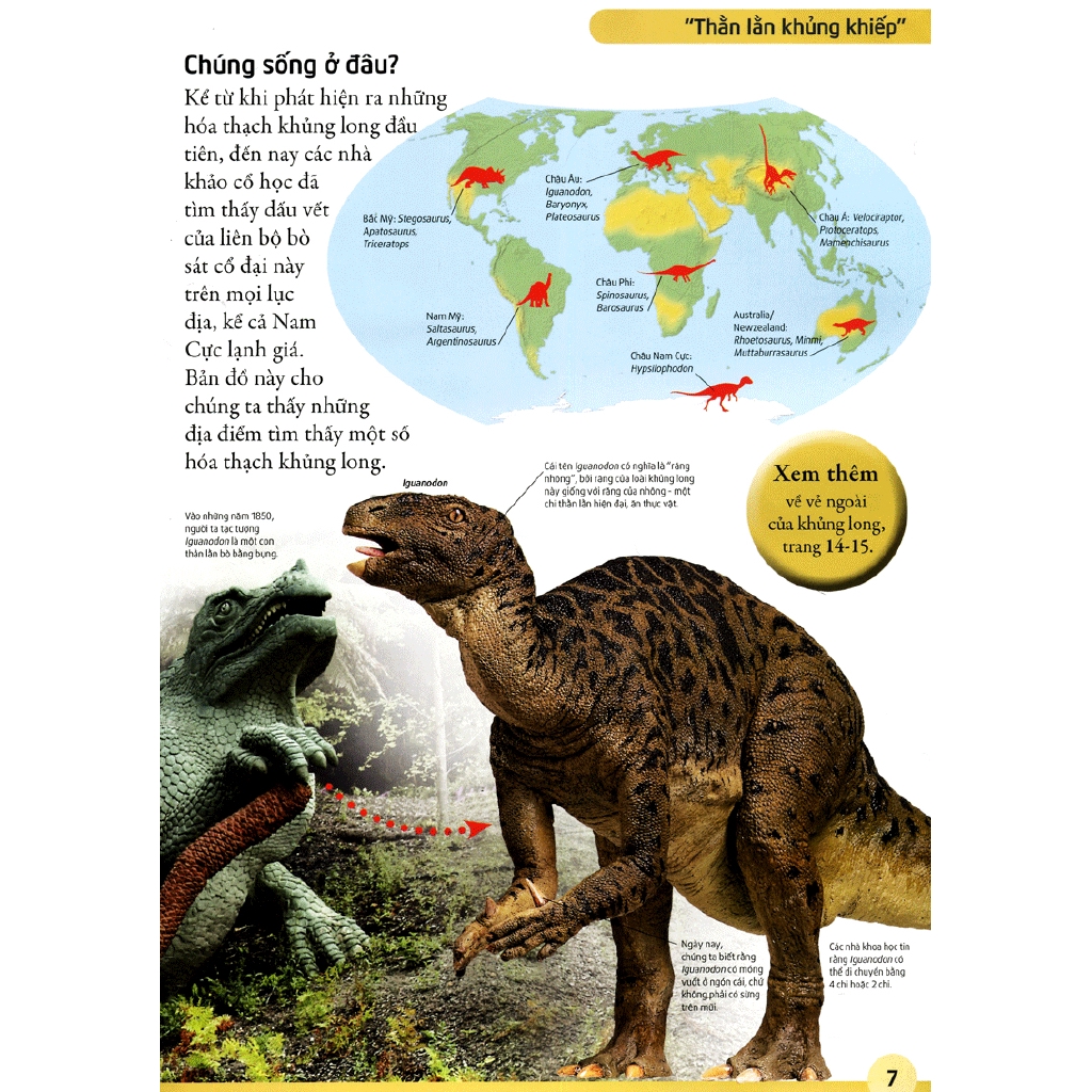 Sách - Bách Khoa Khủng Long - Mở Mang Kiến Thức, Khơi Dậy Tiềm Năng