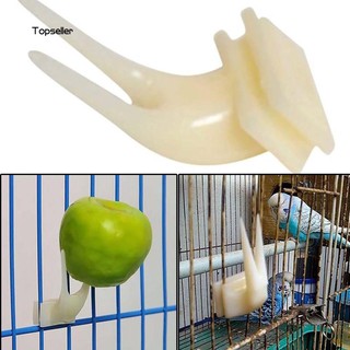 Móc nhựa dính trái cây làm thức ăn cho chim tiện dụng