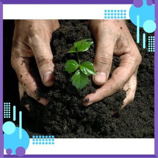 1Kg đất sạch dinh dưỡng trồng cây hoa kiểng, cây ăn quả, ăn rau .