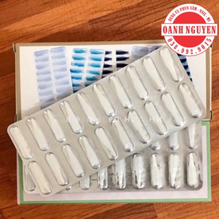 Ngòi Vỉ Máy Xăm Thần Thánh/PRO (200 ngòi/hộp)
