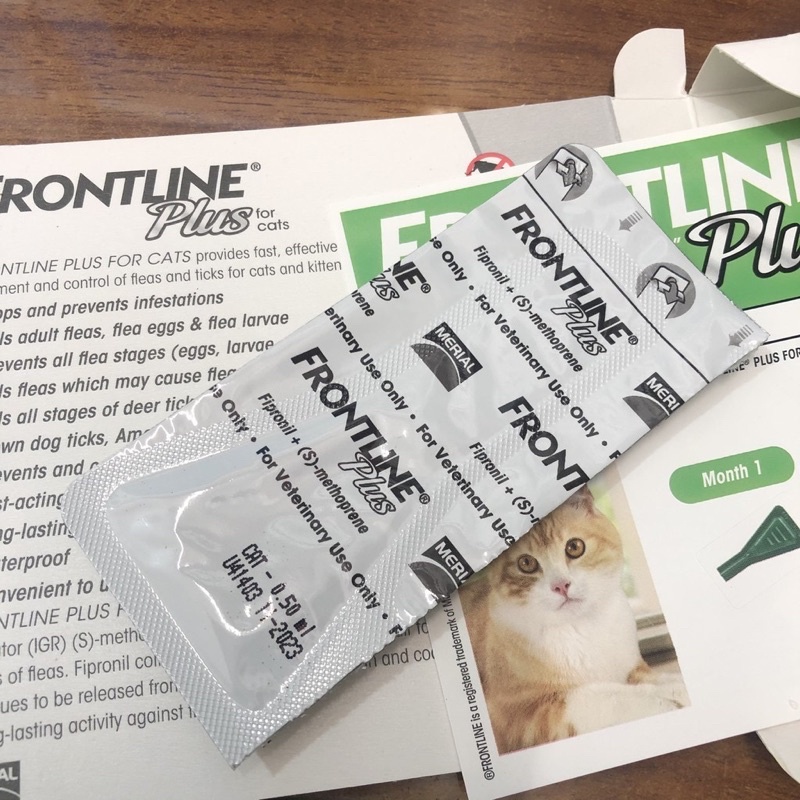 Nhỏ gáy frontline plus cho mèo