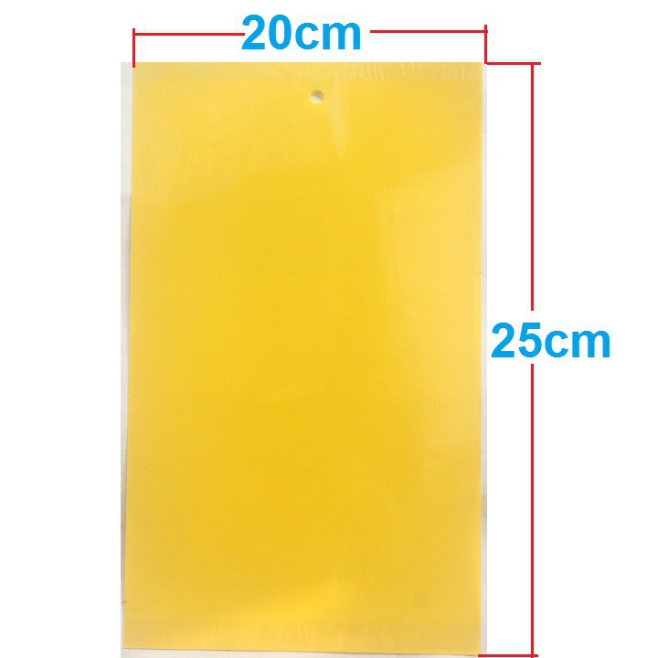 Set 5 miếng dán bẫy côn trùng, ruồi vàng kích thước 15cmx25cm