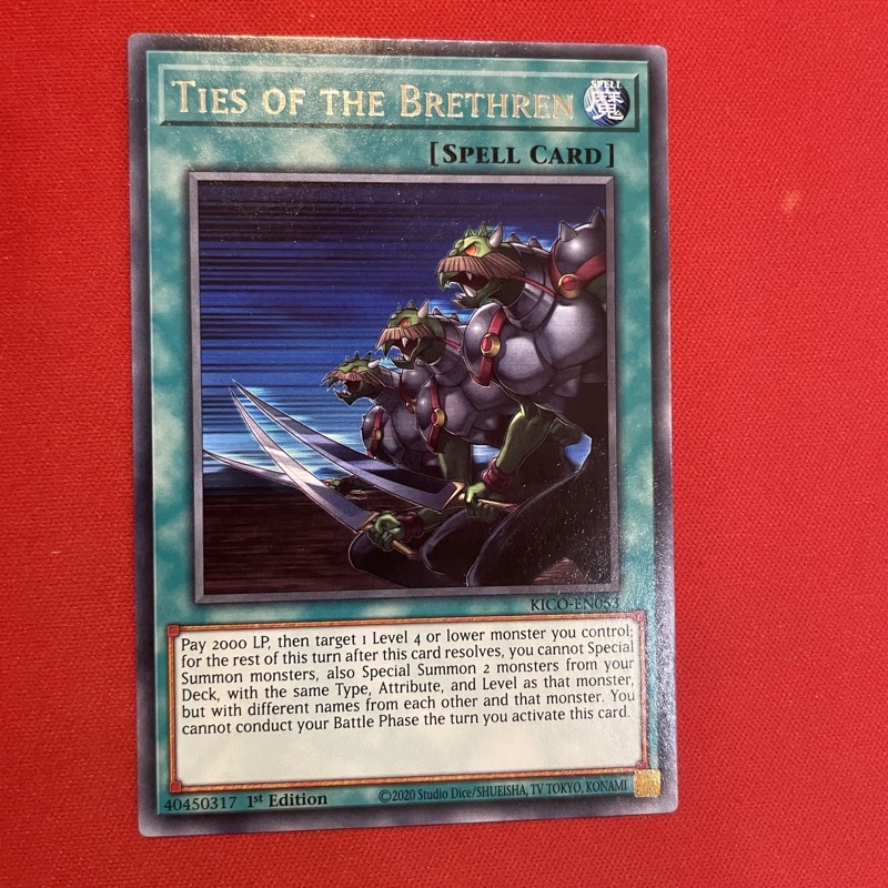 [EN][Thẻ Bài Yugioh Chính Hãng] Ties of the Brethren