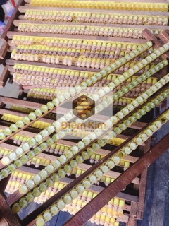 Combo 2 Hũ Sữa Ong Chúa Tươi Tặng Cọ Đắp Mặt