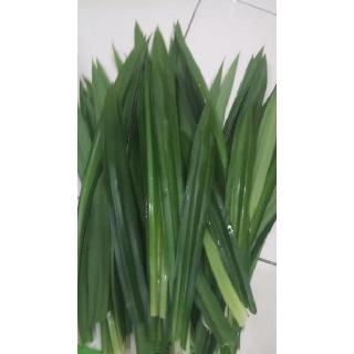 Trà lá dứa (lá nếp thơm) 100g