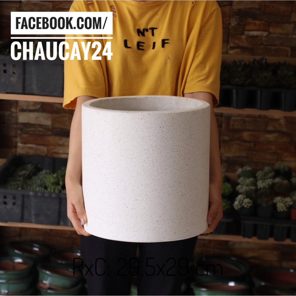 Chậu đá mài hình trụ lớn (CHỈ GIAO HCM) trồng cây cảnh nội thất, cây văn phòng, bàng singapo, cây hoa kiểng