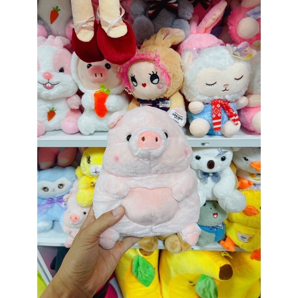 Gấu bông 25cm đến 30cm