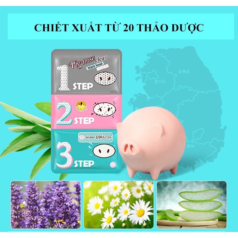 Bộ Lột Mụn Đầu Đen 3 Bước 🌿FREESHIP🌿 Holika Pig Nose Clear Black Head 7g (Gói 3 Màu)