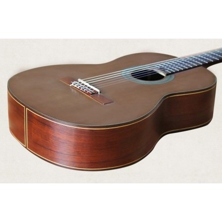 Classic Guitar Việt Nam DC250