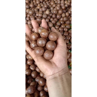 Hạt Mắc Ca Nứt Vỏ Lâm Đồng