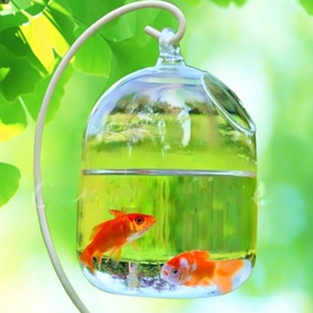 Transparent Hanging Handmade Fishbowl Vases