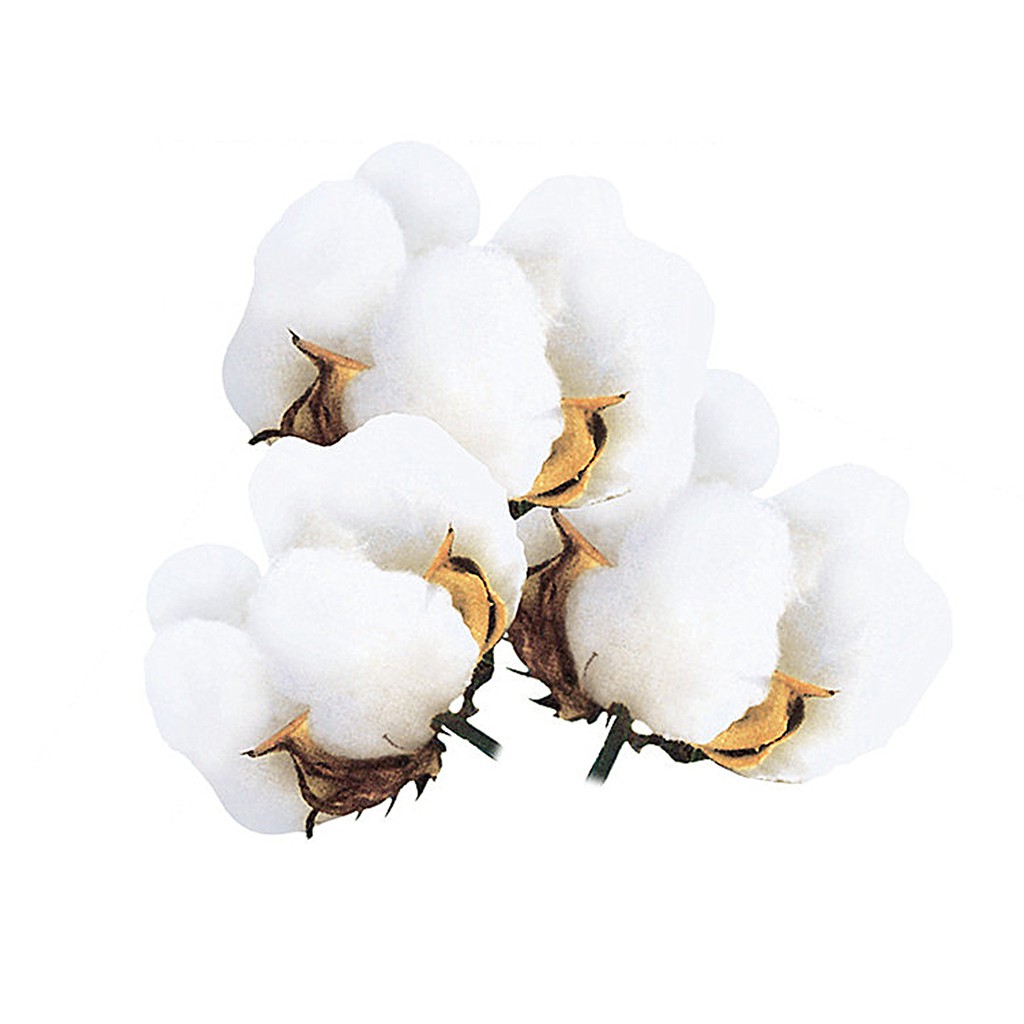 Ruột Gối Vải Không Dệt Kích Thước 35X55.45X45.50X50.55X55.65X65.Gối Ôm Dùng Trang Trí Cho Xe Hơi