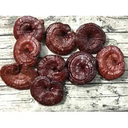 Nấm Linh Chi Đỏ Cao Cấp 500g