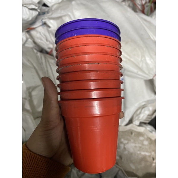 (8x8) Chậu nhựa mini trồng cây TD8,trong sen đá, xương rồng, hoa nhỏ