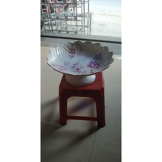 Mâm bồng phíp