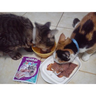 Pate Whiskas Junior 80g cho mèo con
