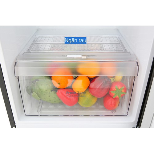 Tủ Lạnh LG Inverter 255 Lít GN-D255BL