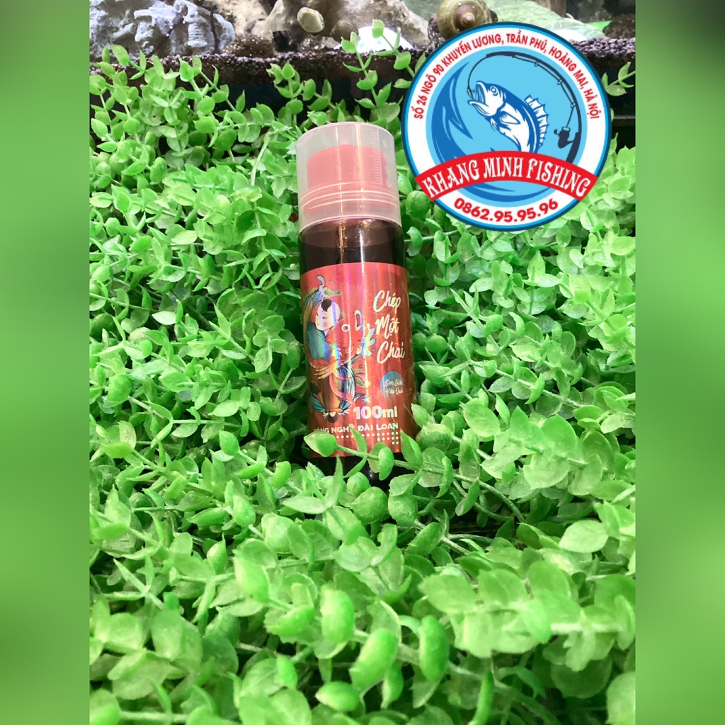 CHÉP 1 CHAI SA PHẠM chuyên câu cá chép cực nhạy