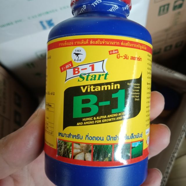 Vitamin B1 Thái Lan