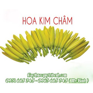 Hoa Kim Châm Đà Lạt 500gr - Hàng Cao Cấp