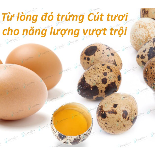 [LÔNG ÓNG MƯỢT]Thức Ăn Bổ Sung JFamille,Lòng Đỏ Trứng Đông Khô Cho Chó Mèo, Giàu Đạm, Tăng Sức Đề Kháng - JF58