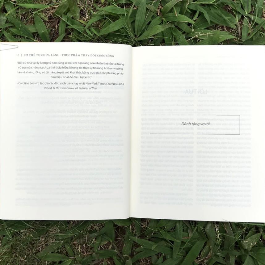 Sách - Cơ thể tự chữa lành - Thực phẩm thay đổi cuộc sống (Bìa vàng) - Huy Hoàng