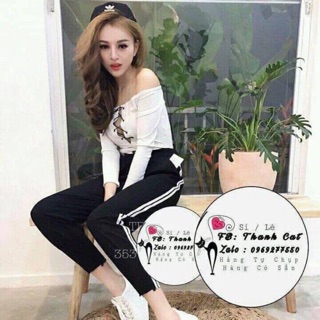 Quần joger kẻ sọc nữ combo 2 quần