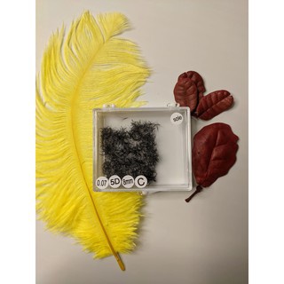 Mi Fan Sole Camelia - 3D 4D 5D Cong C , D 0.07 Fan Tay Sẵn