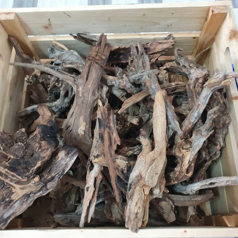 Lũa nhẹ để trang trí hồ thủy sinh