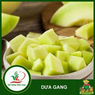 Hạt giống Dưa gang RD 779 - 1g
