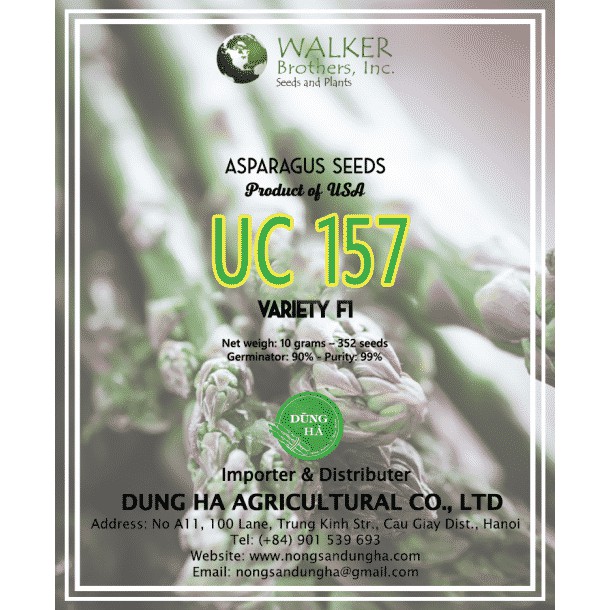 Hạt giống Măng Tây Xanh UC157 USA gói 20 hạt