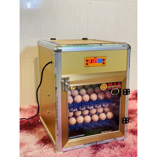 Máy ấp trứng 60 quả date 2023 tự động chuyên nghiệp