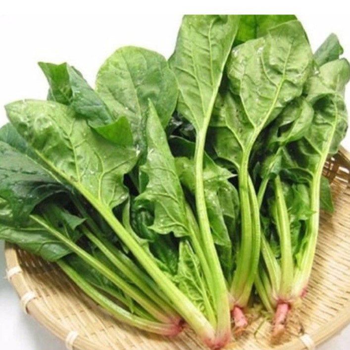 hạt giống rau cải bó xôi