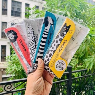 Bộ eke 4 món CLASSMATE RS03-AN (15cm)