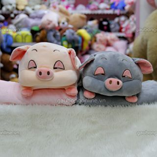 LỢN BÔNG ĐÁNG YÊU
