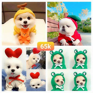 [SIÊU HOT] ÁO THÚ CƯNG HÌNH TRÁI CÂY CUTE