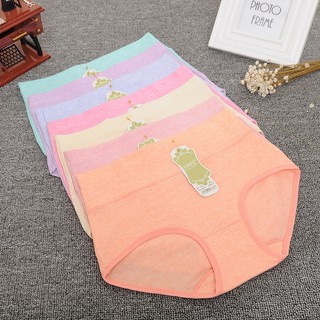 Combo 5 quần lót thun cao cấp lưng cao