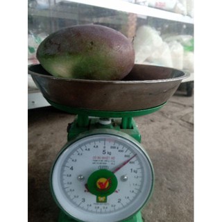 Xoài Đài Loan. 1kg.
