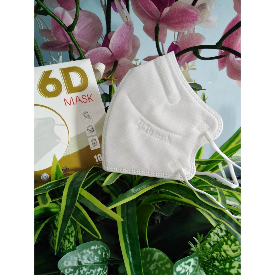 Combo 30 cái Khẩu Trang 6D PT hàng chính hãng công ty