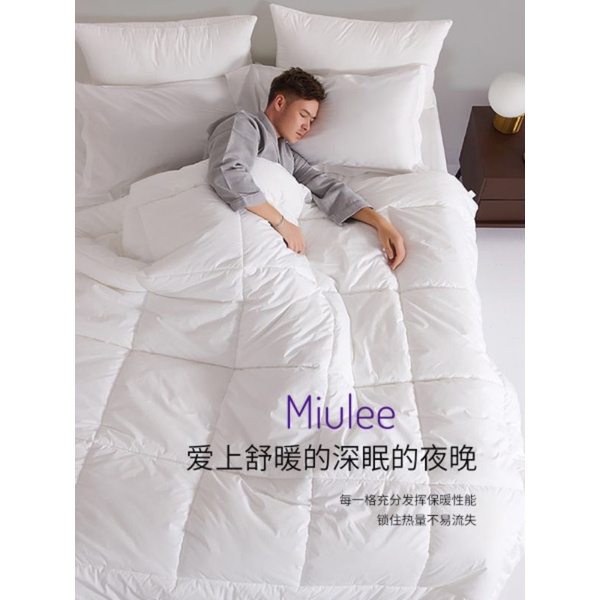 Ruột chăn đông MiULEE. Ruột chăn kháng khuẩn công nghệ mới