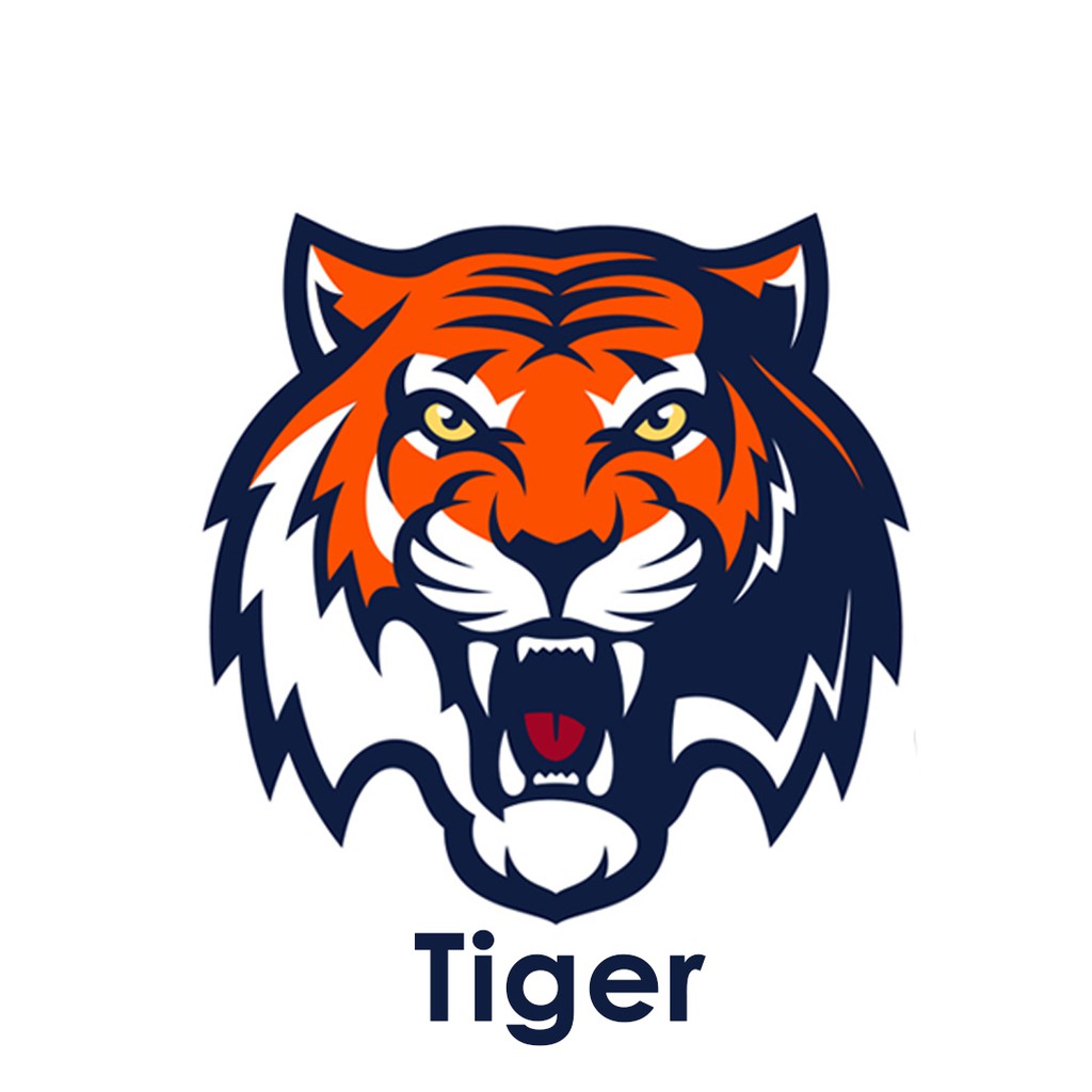 Nội Thất ô Tô Tigers