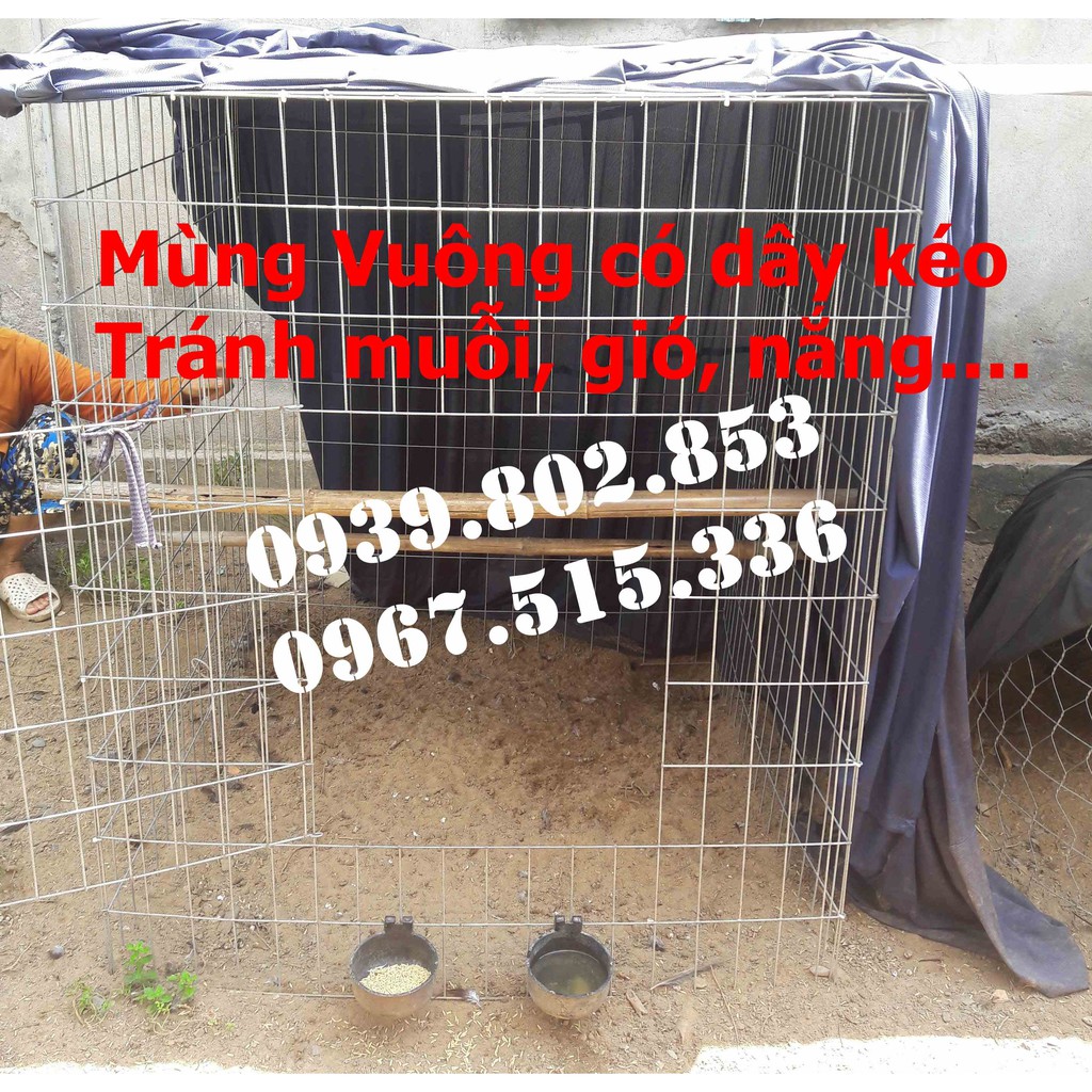 Mùng gà vuông kích thước 1mx1mx1,2m | Mùng vuông có dây kéo giá rẻ | Mùng gà nòi cho bội vuông | Màn vuông có dây kéo