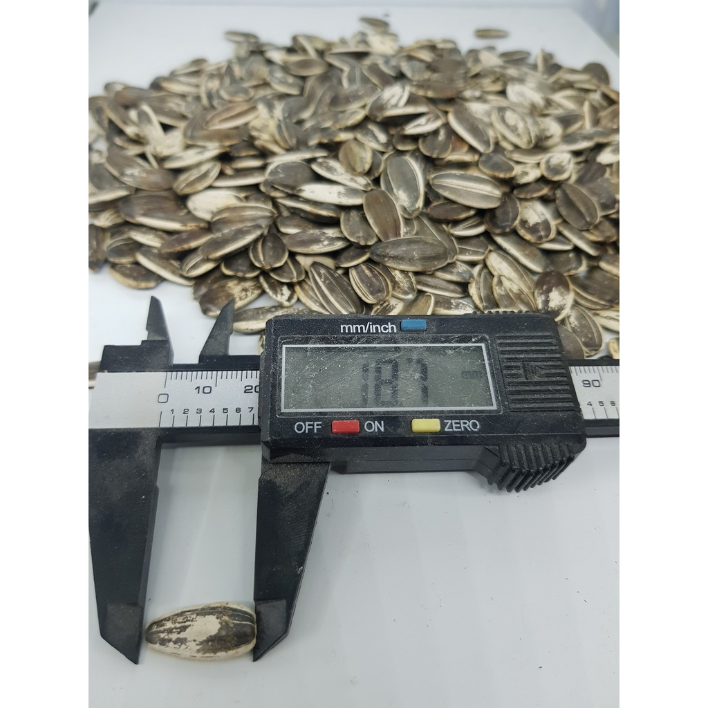 Hạt hướng dương sọc lớn đóng gói 500g, 1kg