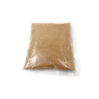 Bạch giới tử - hạt cải Tây Tạng - Cúng Khói (500gram) [PBMC]
