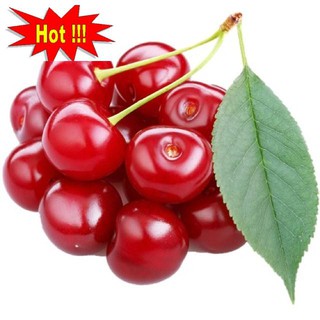 Hạt giống Anh đào (Cherry) (10 hạt)