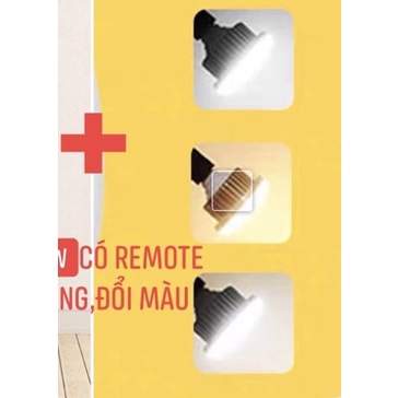 Bóng đèn chụp ảnh đui xoắn đèn nấm/đèn xoắn/ đèn remote